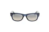 Ray Ban 0RB0832S