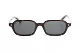Ray Ban 0RB4455