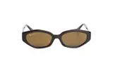 Ray Ban 0RB4473D