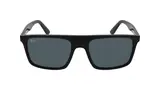 Ray Ban 0RB2222