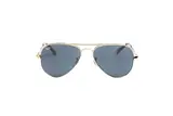 Ray Ban 0RB3925