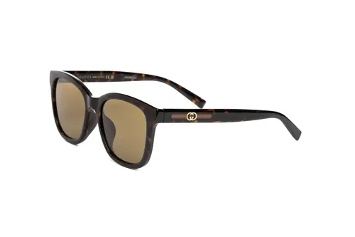 GG1984SK-003 55-1