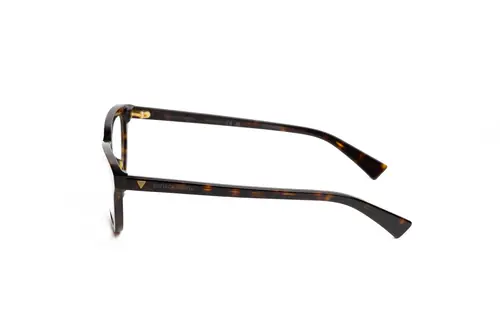 BV1366O-002 53-2